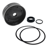 Dichtungssatz 70Mm Spannzylinder Ravaglioli G6441, G7441 Reifenmontagemaschine