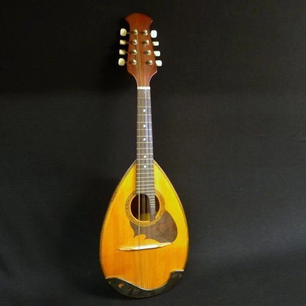Suzuki Mandolin No.M-210 Stringed instrument Bowlback Suzuki