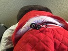 OWLS! VTG Rare Plush Abercrombie & Fitch Feathered Owl Skier wired to talk — photo 4