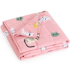 Mr. Sandman Weighted Blanket 3 Pounds Washable, Best for 20-40lb Breathable C...