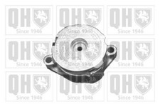 QH Replacement Mechanical Belt Tensioner V-Ribbed Drive Belt - QTA894S
