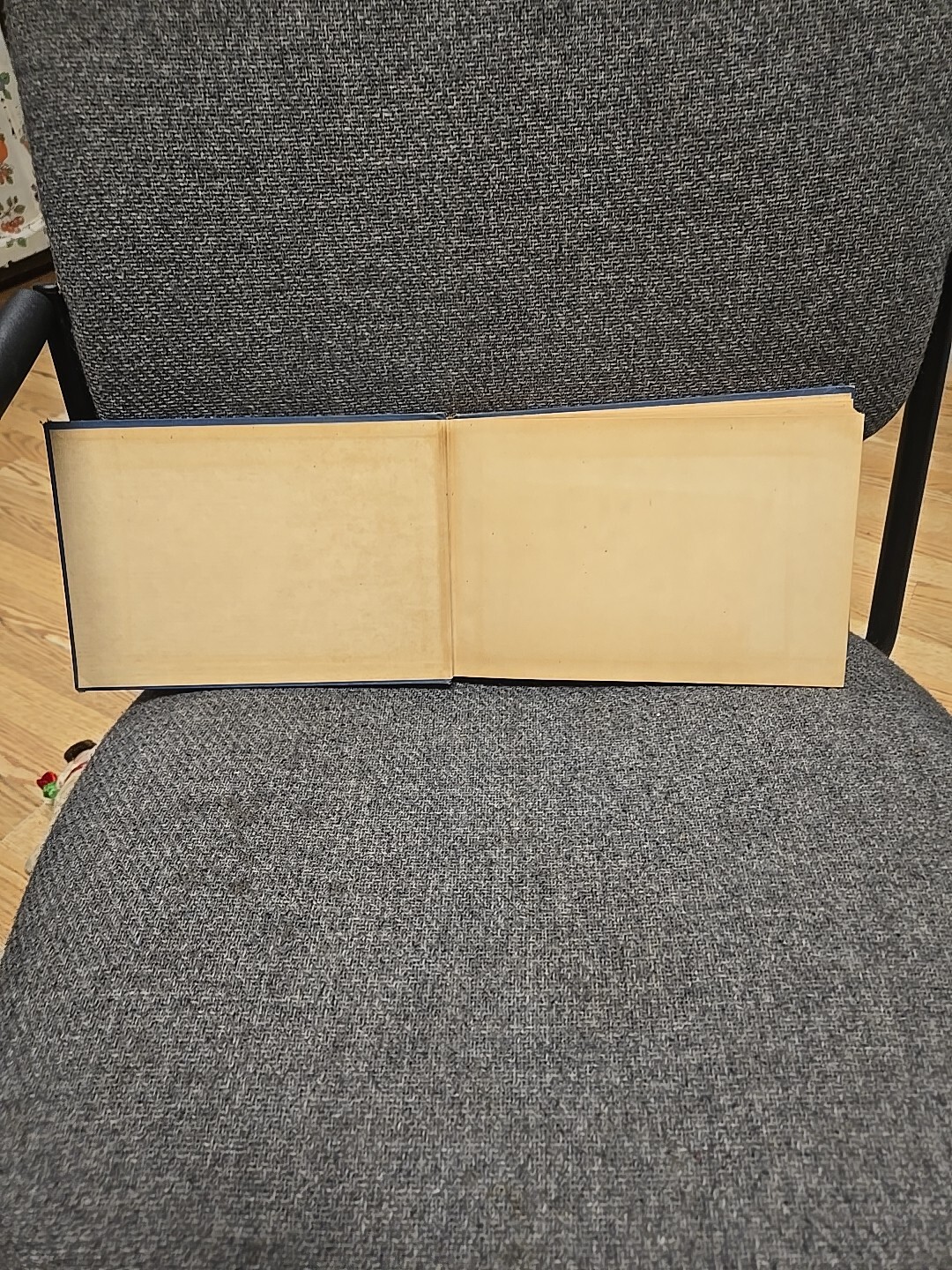 Picture 5 of 24