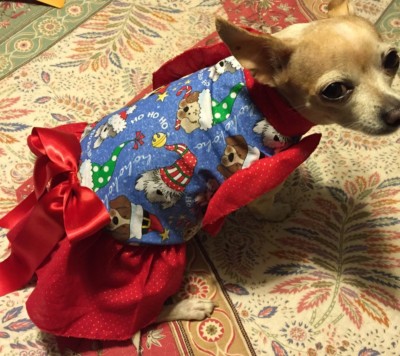 Santa Paws Christmas Dress for Small Dogs