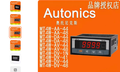 1 PCS  AUTONICS   MT4W-DV-41    panel meter