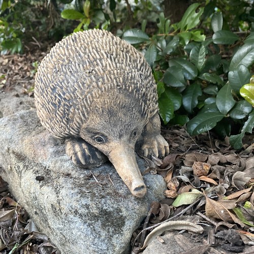 Australian Echidna Statue Ornament Animal Concrete Cement Garden Australian Made - Picture 7 of 8