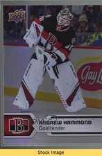 2017-18 Upper Deck AHL Rainbow Foil Andrew Hammond #85 READ 7ql