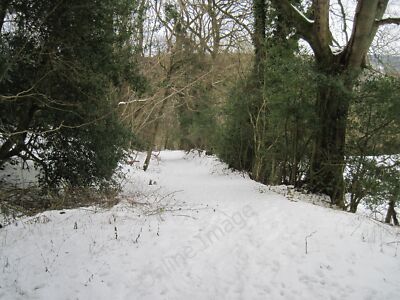 Foto 12x8 Pfad hinunter Newton Banks nach Raygate Slack Newton-on-Rawclif c2012