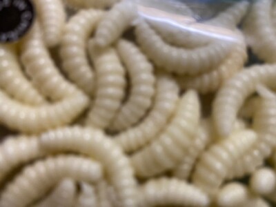 25 Pcs     2cm Super Soft Fishing Lures Simulation beige Maggot Grub Shape Baits