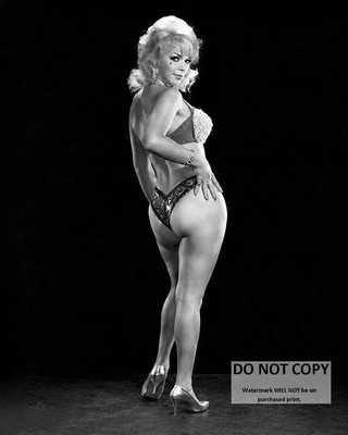KITTY LYNNE BURLESQUE DANCER ''THE CAT GIRL'' - 8X10 PUBLICITY PHOTO (EE-540)