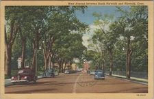 West Avenue Norwalk Connecticut autos trees 1940 linen postcard F200
