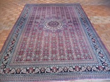 8'6 X 12'4 Hand Knotted Red Antique Bidjar Oriental Rug G1984