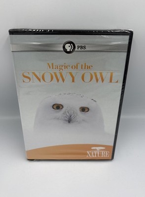 PBS Nature: MAGIC OF THE SNOWY OWL | 2012 Widescreen DVD Sealed