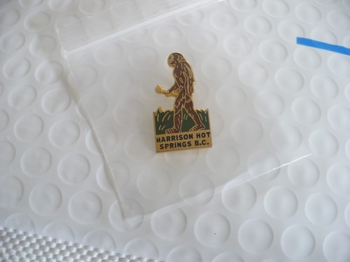 TZ- HARRISON HOT SPRINGS BC (BIG APE) ENAMEL PIN #43256 - Bild 4 von 8