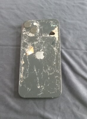 Apple iPhone 13 Original OEM Back Glass Frame Housing Dark Blue