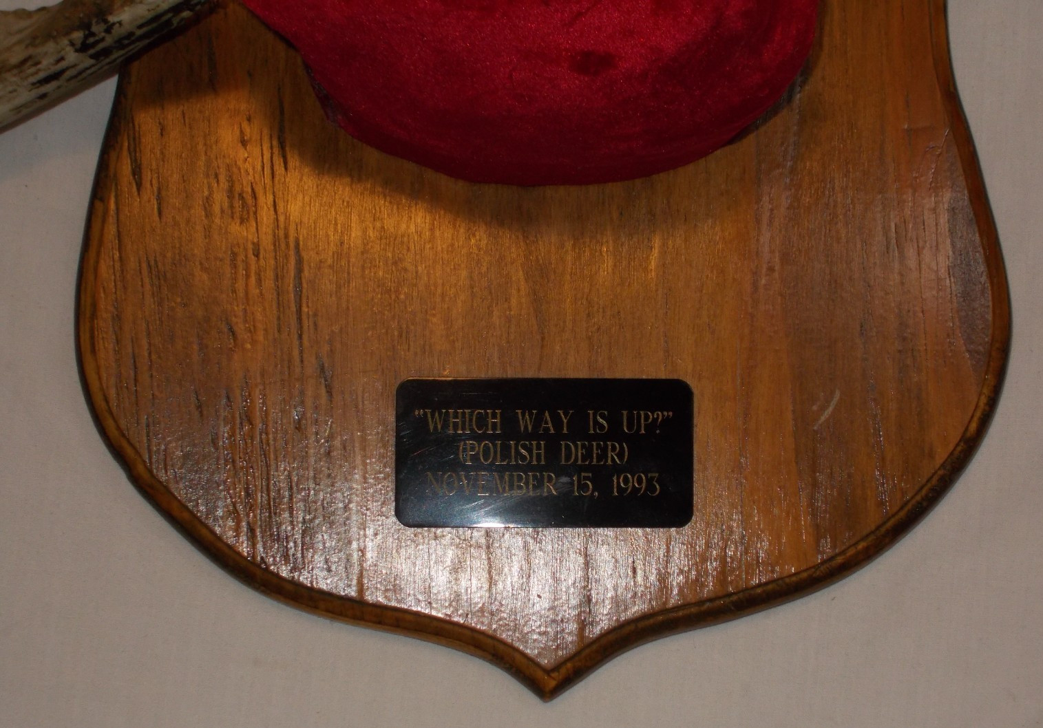 Vintage 1993 Michigan Deer Antlers Mount Plaque Cabin Decor Rustic Taxidermy