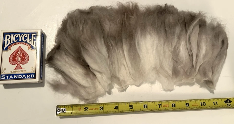 4.oz Premium PLUCKED Angora Wool Sable Natural Gray Spinning Fiber (D22) - Image 2 of 4