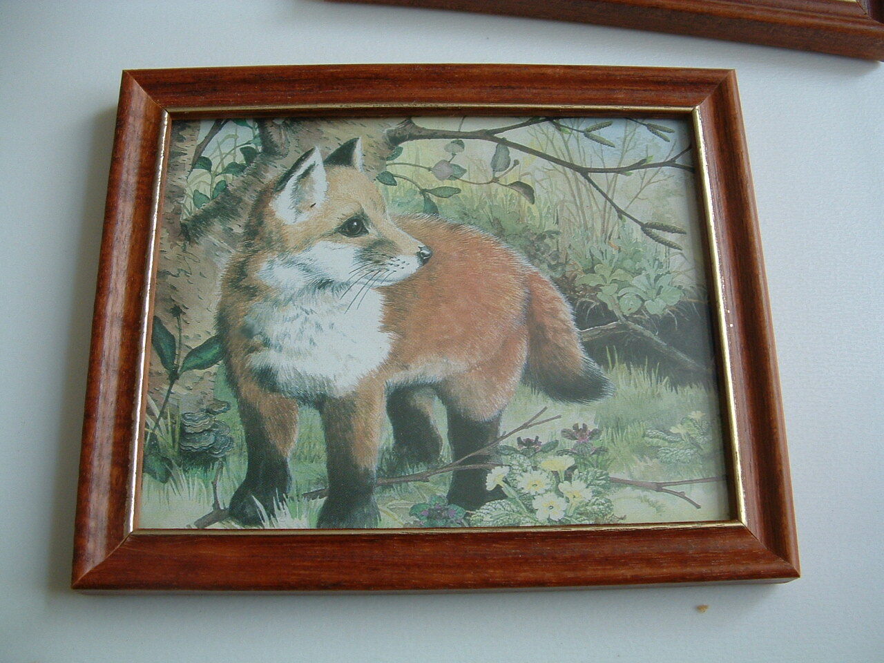 Picture 5 of 5