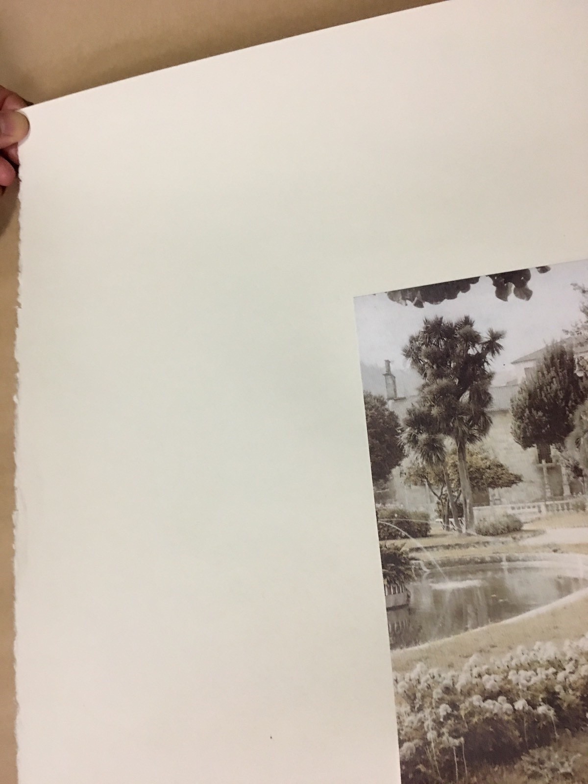 Picture 10 of 12