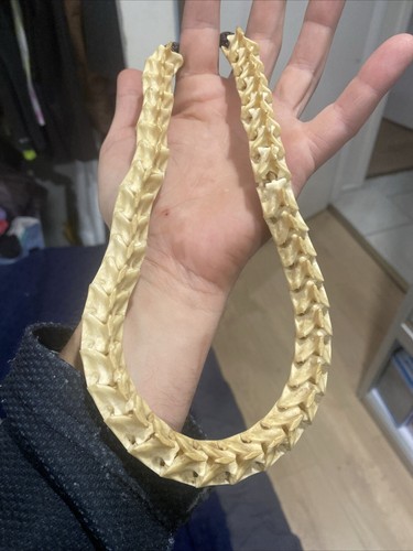 Vintage Cobra Bone Necklace 