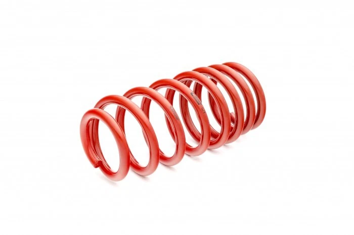 Eibach Sportline Lowering Springs For 11-19 Chrysler 300/300C Dodge Charger RWD Foto 4 de 4