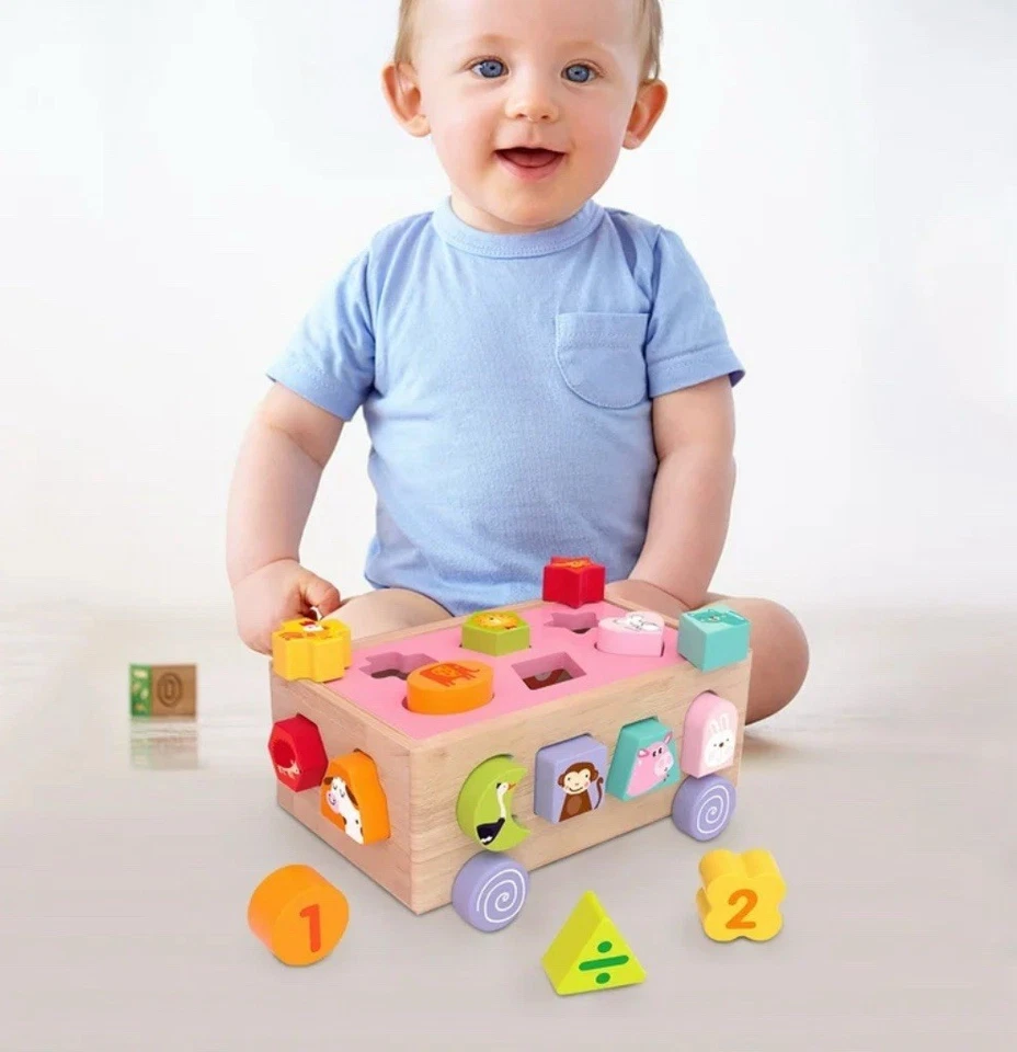 Clasificador de forma de coche de madera juguete para coche con 18 bloques de animales para niños pequeños 2 años+ Foto 2 de 4