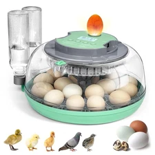 Incubators for Hatching Eggs,18 Egg Incubator with Automatic Egg Turning and ...