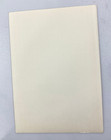 Black & White Wedding Photo Gold Frame Vintage 1950s 60s Funny Humorous Couple — photo 6