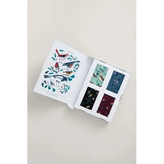 Seasalt Gift Box of 4 Women's Sailor Socks - Bird Table Mix - BNIB
