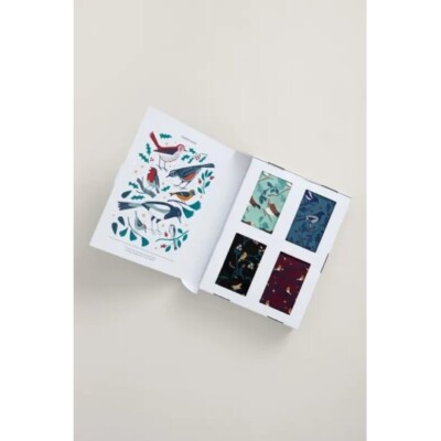 Seasalt Gift Box of 4 Women's Sailor Socks - Bird Table Mix - BNIB