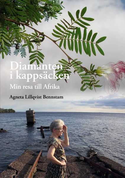 Agneta Lillqvist Bennstam | Diamanten I KappsäCken | Taschenbuch | Schwedisch-image