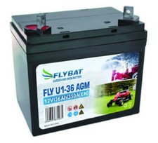 FLYBAT U1-36 AGM Rasentraktor Batterie