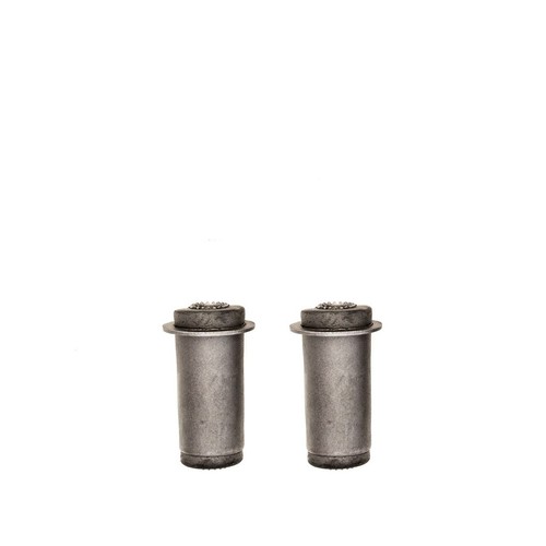 Lower Control Arm Bushing Set Fits 1961 - 1966 Ford Thunderbird - 第 1/1 張圖片