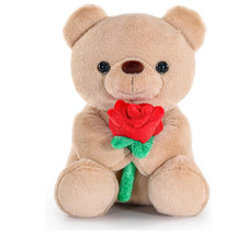Teddy Bear Plush with Rose Valentine Gift for Girlfriend Boyfriend Kids 9 Inch