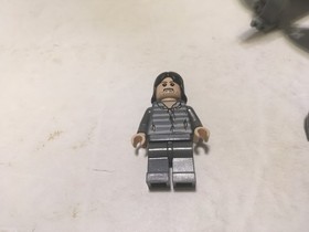 Lego 4753 Harry Potter Minifigure Lot Hippogriff Buckbeak Sirius Black Dementor