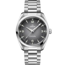 Omega Seamaster Railmaster Watch with Grey Dial 235.10.38.20.06.001