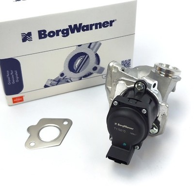 BorgWarner 711021D AGR Ventil für Citroen 1.6 HDI Fiat 1.6 D Ford 1.6 TDCI