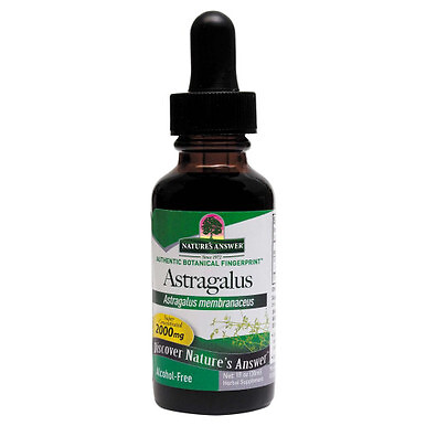 Nature's Answer Astragaluswurzel 30ml