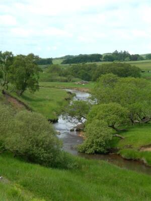 Photo 6x4 River Ayr Glenbuck/NS7429 The River Ayr, photographed from the c2007