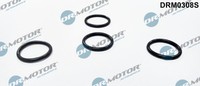 1X Dr.Motor Automotive DRM0308S Dichtring DüSenhalter FüR Opel