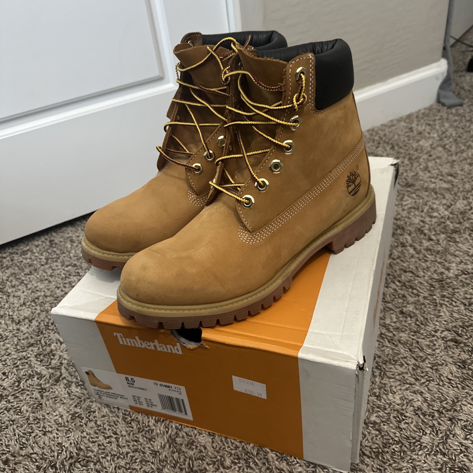 Timberland 6