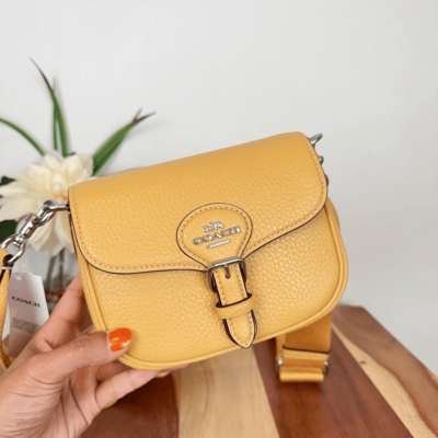 NWT Coach Amelia Small Saddle Bag | eBay