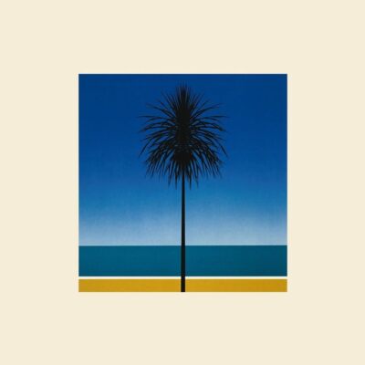 Metronomy The English Riviera (Schallplatte) 12'' Album