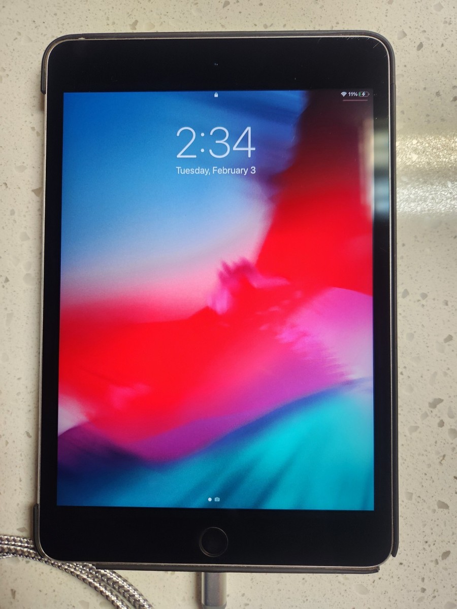 iPad Mini 4 16GB WiFi Gray | eBay