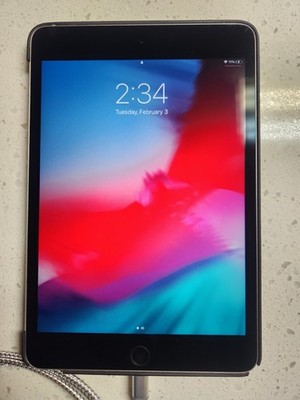 iPad Mini 4 16GB WiFi Gray | eBay