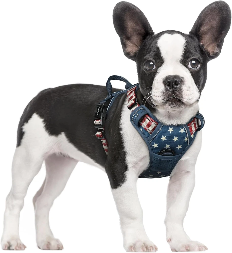 Dog Harness No Pull with 2 Leash Clips, Adjustable Soft Padded, Reflective Oxfor