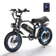 16" Fat Tire Ebike 750W Peak Motor 27.8MPH, 48V Electric Bike 60 Miles