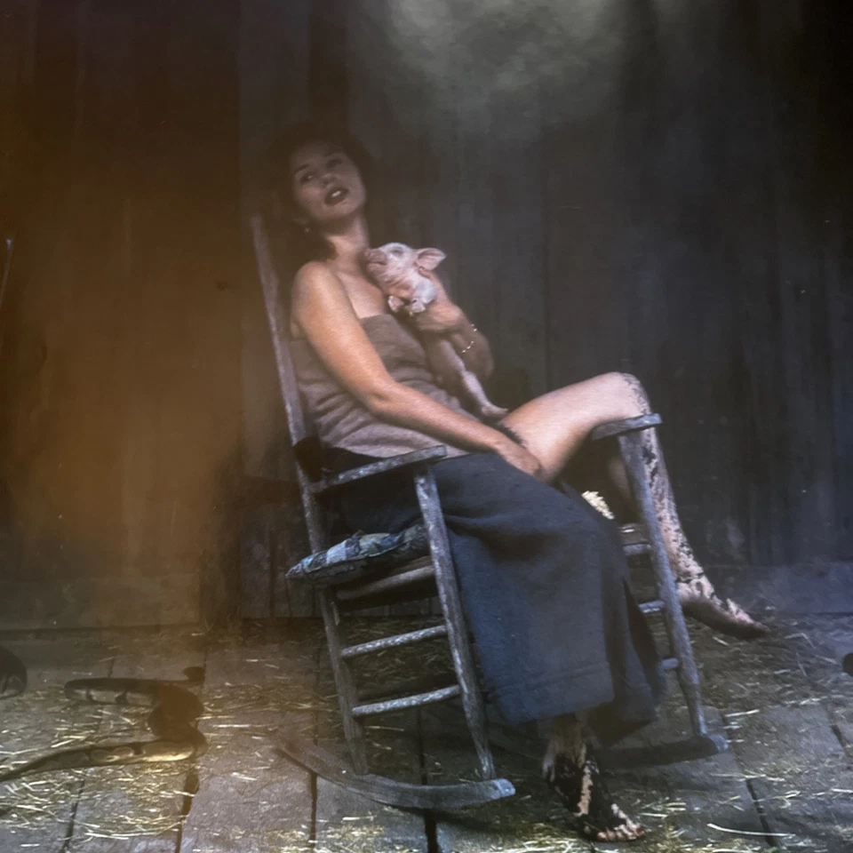 Póster de Tori Amos Boys for Pelé 1996 raro famoso lechón foto 24x36 Foto 2 de 2