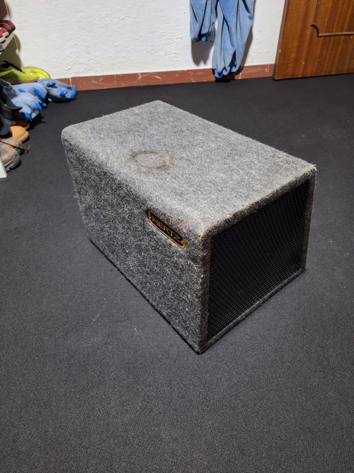 Subwoofer 600W RMS 1200W Max - Offerta Shock per Bassi Devastanti