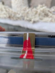 Pier Solar Dreamcast &ndash; Factory Sealed Official WaterMelon Release &ndash; EU Version