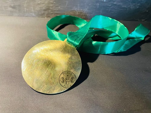 UBO Universal Boxing Organization Boxing Championship Medal Green Ribbon - Picture 5 of 5